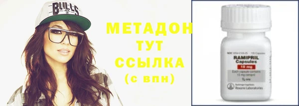 стаф Алзамай