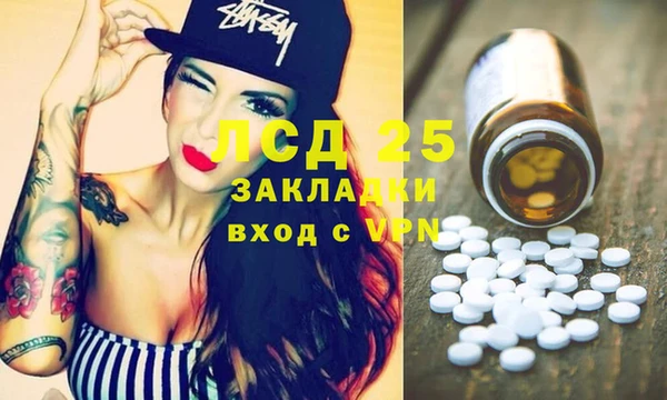 стаф Алзамай