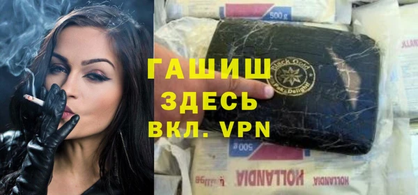 стаф Алзамай