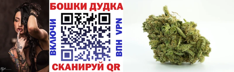 Канабис конопля  Урус-Мартан 